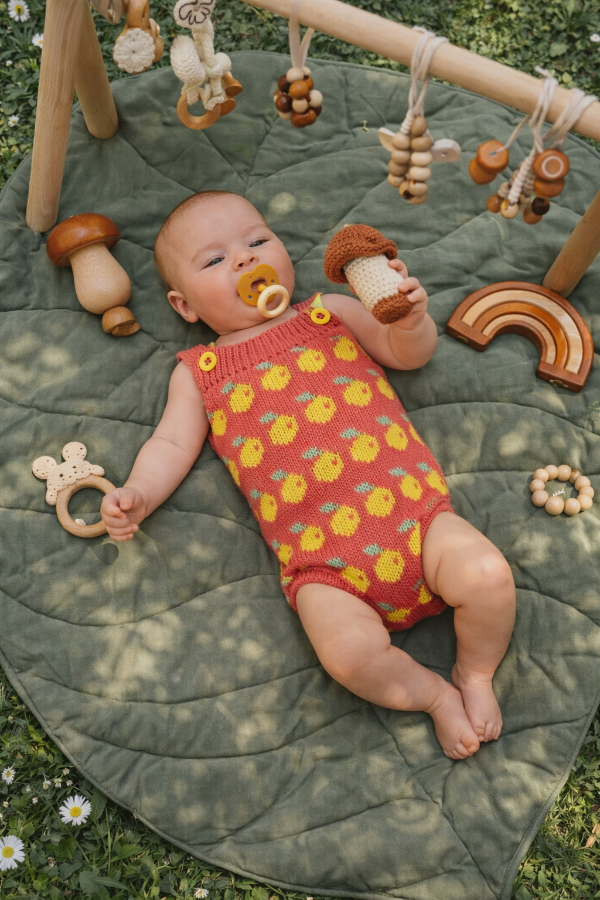 Producto - Enterito limones fucsia