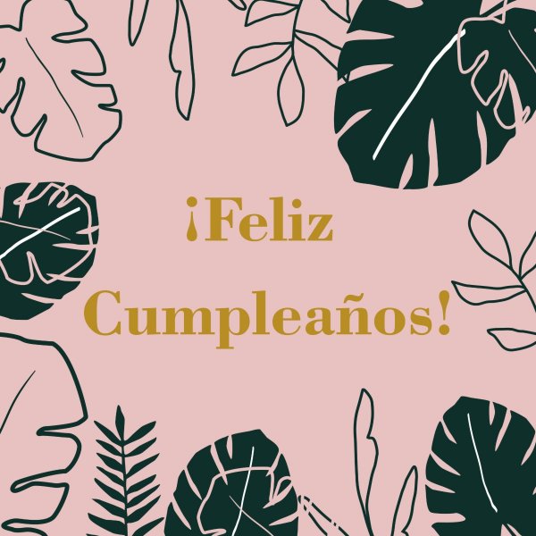 Imagen de producto - 3