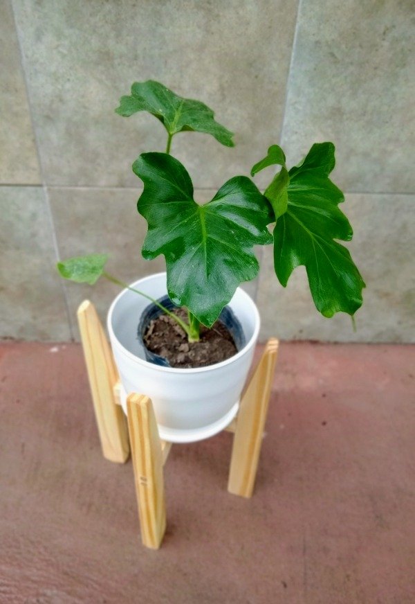 Producto - Wambe p32