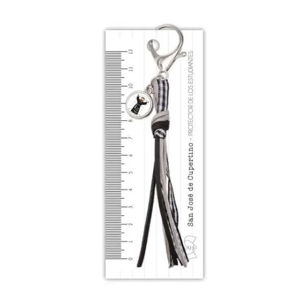 Producto - BENDICION PARA ESTUDIANTES SAN CUPERTINO (SALVE REGINA)