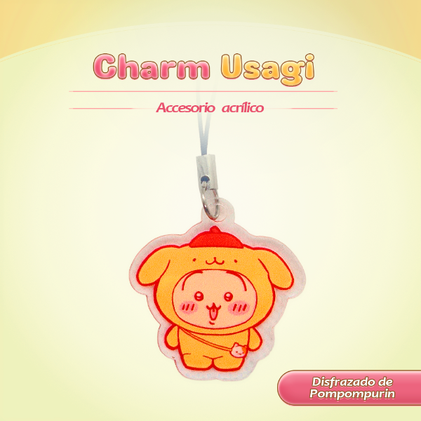 Producto - Usagi x Pompompurin
