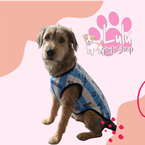 Producto - SUDADERAS ARGENTINA
