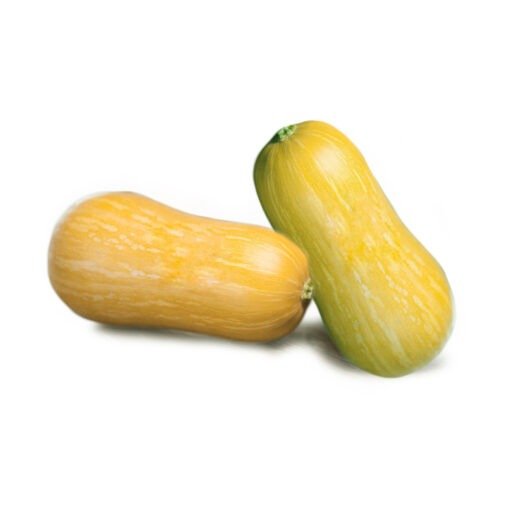 Producto - Zapallo Coquena Agroecológico Unidad