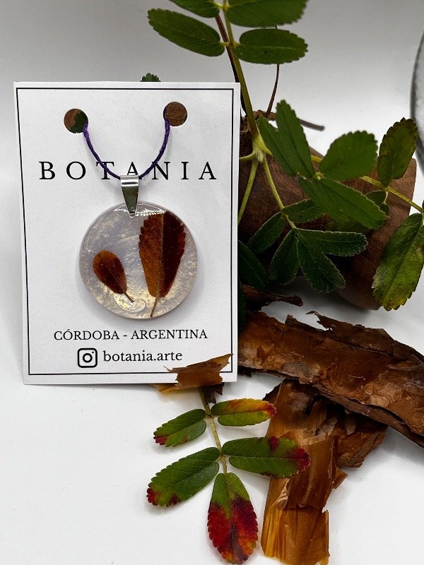 Producto - Hoja 1 Tabaquillo - 0