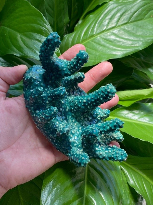 Producto - Coral 06