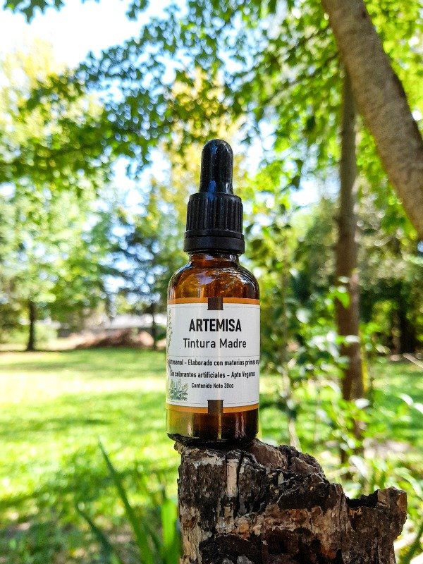 Producto - TINTURA MADRE ARTEMISA VULGARIS 50cc. DETOX DIGESTIVO INMUNOMODULADORA PARASITOS