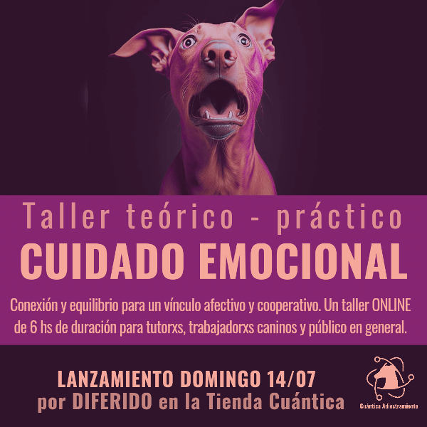 Producto - Taller de CUIDADO EMOCIONAL