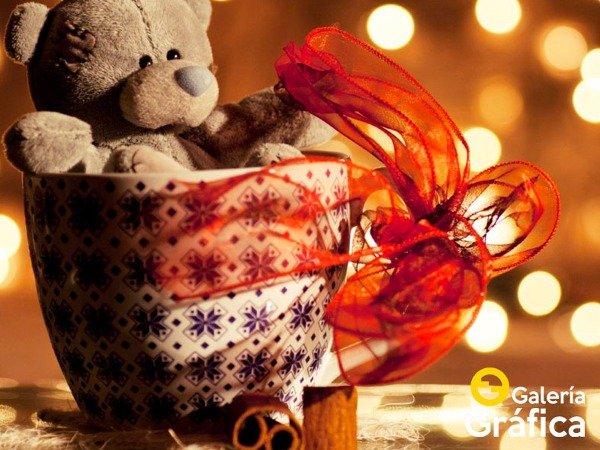Producto - Ositos Peluches FS 01