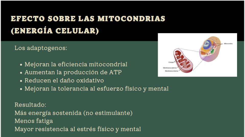 02858df9e37559878123b676f5f201c7cd7b9d6f1f3cc16e0d71d1b83e991fb5458912.png