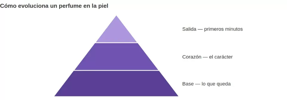 Pirámide olfativa de tres niveles: notas de salida en la cima (primeros minutos), notas de corazón en el medio (el carácter), notas de base en la parte inferior (lo que queda en la piel).