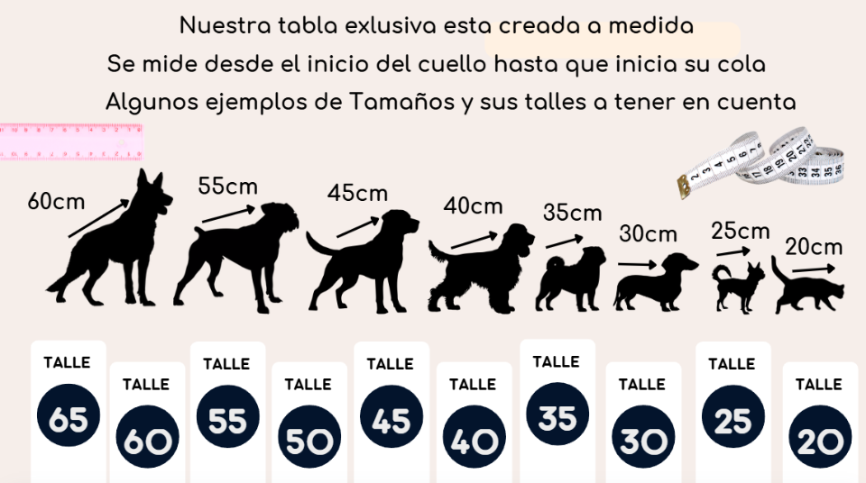 04e9b959f7f61f4693bfb48e0f8a961104750ce6fb77278af315bc76c28141cb282687.png