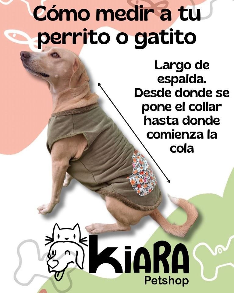13ab2253ea1d22deb0d3c8ad0435a3d0988063d672be1aaeaf5bd7831afd8adf144546.jpg
