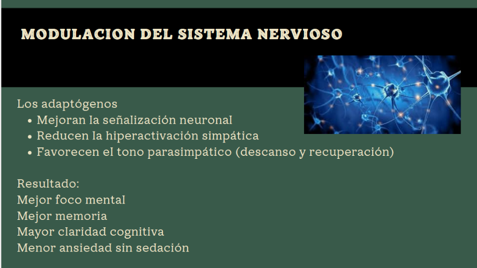 1fb3b03dc907c2465d7e706a906dbe66efe159f351c8b75b0c6d057cf8d56a47458912.png