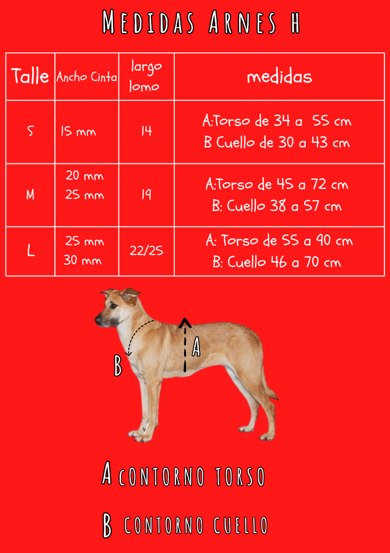 2771b413d743474476289286f05b37779aa06d1814bd1a674e0e5ad808523c03468803.png