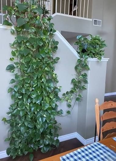 4516920b5d07b8b67004aff5d0fa5dba478bd6f9d01958666e0f45209a56e64c484666.jpg
