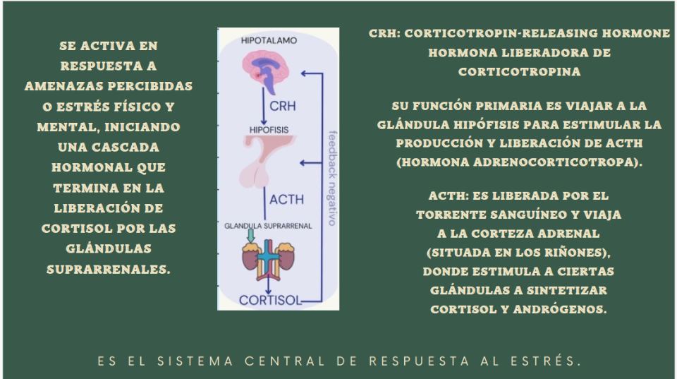 790cd6aeb26921bb40b54097a6d0c37cb43dd47df15ea2a4ccc40cf2b1427051458912.png