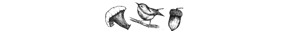 8a93ac6c77b5cbc64c805901c7123bb89f4f75b394164627b7356d0372563cd5365535.png