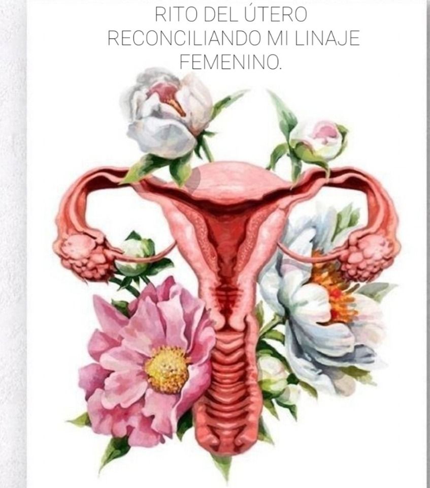 a0e6a17f8c6ea12a4ef3aafa20de1815f9738c441a2d8b219186aaf3bbd5db87139651.jpg