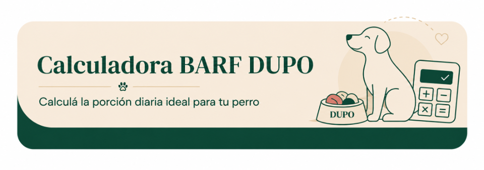 a6fafc404eab2b921f840a6ea2a0516a7c24cf26640c717996e56c9055770167464512.png