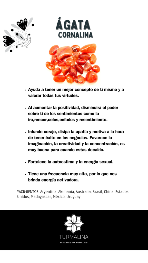 af77912d9c73cc6549e5b1f13595ef9c2c383e521cb920b0afad444794fb88d4198777.png