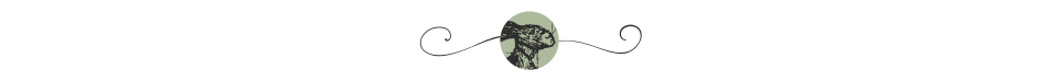 b2482aecff4956acec24fb2e82bb5617895602d62df243b2bf61241bc20fcc3a365535.png
