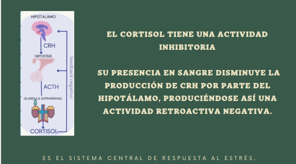 b61796ac71b5e7fd6ffab5e073c5962dd8a5e80a82e8d968d3049b23f038273f458912.png