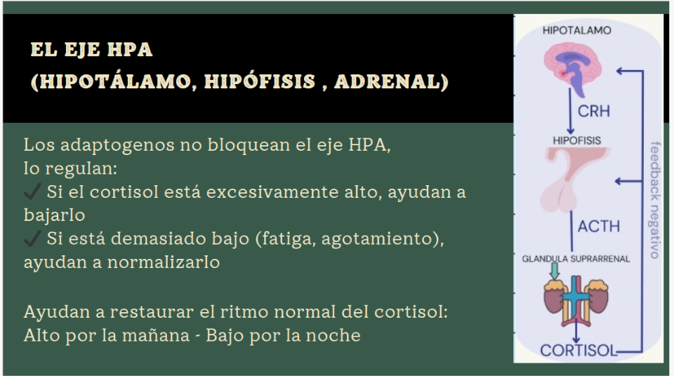 b6ac41a7a23a6ea08e993980c370d3d6f515f7a236148b7e3d306288b1516948458912.png