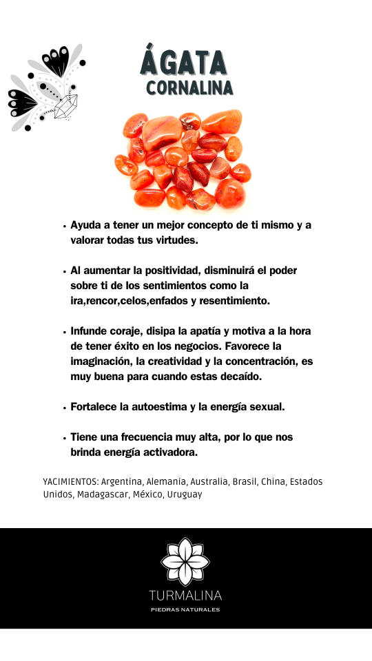 bc20153946d4135939580facf35fc8d476cf9ebf414afd6f7dc221f9ff88d3ae198777.png