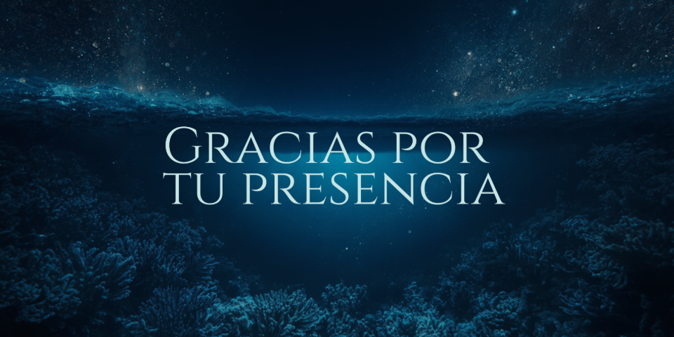 f8933497bf227ce504788927cae4235d6488ea8dfeffebe3fd0aabe814f5eddf464831.png