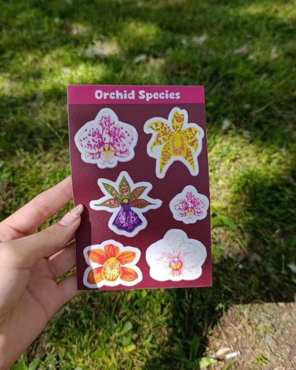Producto - Plancha Orquídeas Transparente