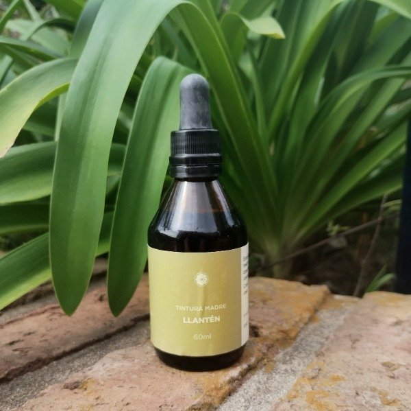 Producto - Tintura de Llantén 60 ml Cosmos