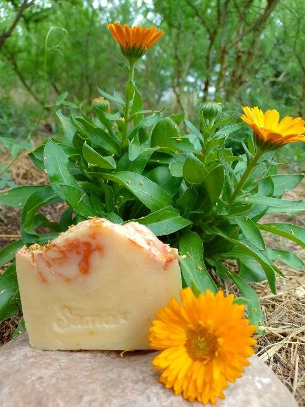 Producto - Jabón de Caléndula y Manzanilla