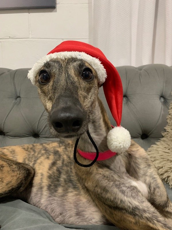 Producto - GORRITO NAVIDEÑO