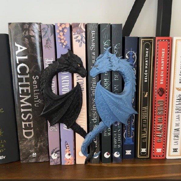 Producto - Book Insert Dragones Enamorados