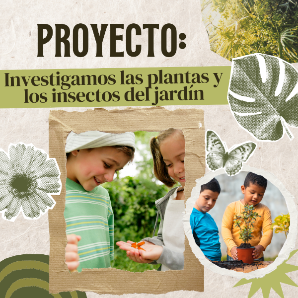 Producto - Proyecto: "Investigamos las plantas y los insectos del jardín" - DC 2023