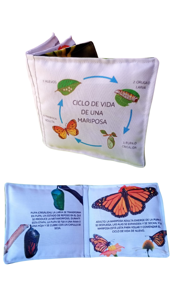 Producto - Libro ciclo de la mariposa