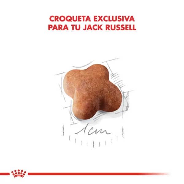 Producto - Alimento Royal Canin Perro Cachorro Jack Russell - 3Kg - 4