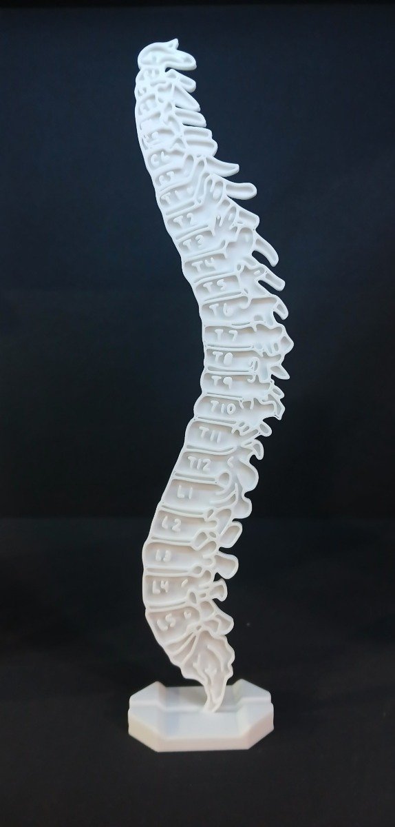 Producto - Columna vertebral