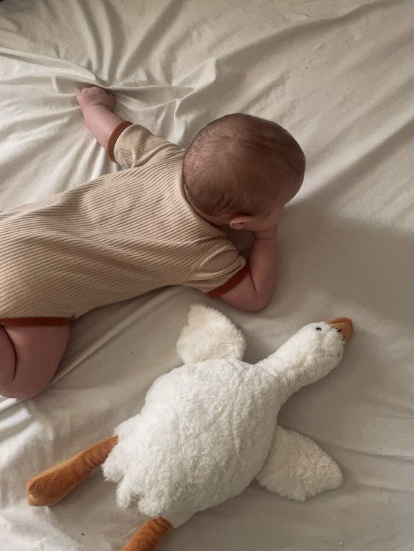 Producto - Ganso de apego