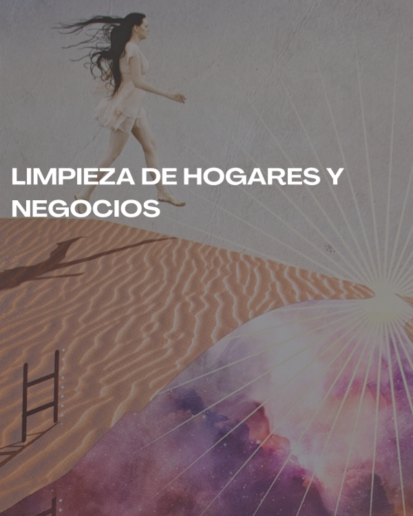 Producto - Limpieza de Hogares y Negocios