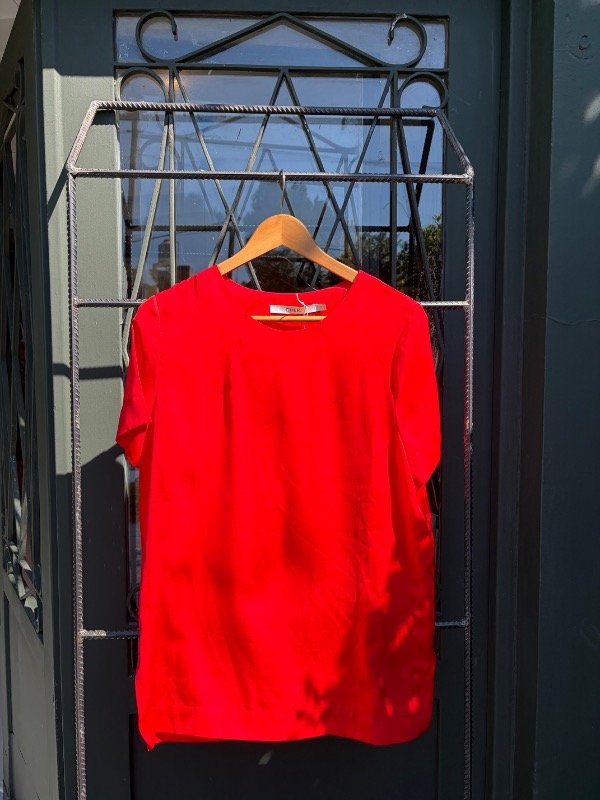 Producto - remera Cher S