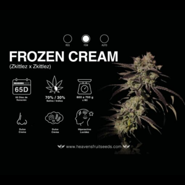 Producto - HEAVENS FRUIT FROZEN CREAM