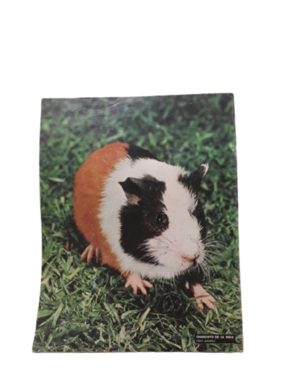 Miniatura de producto - 7