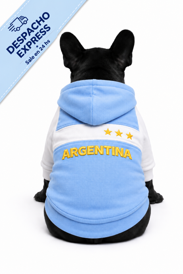 Producto - Campera Bandera