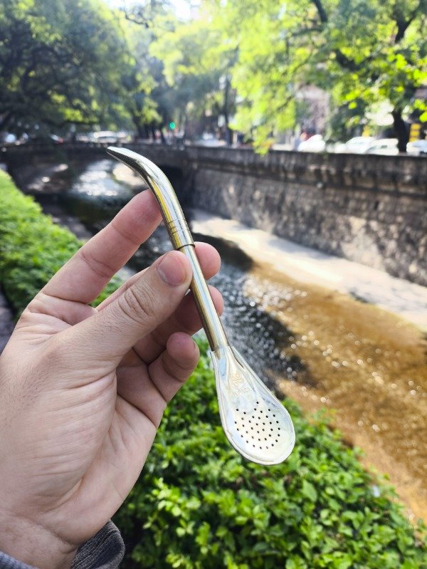 Producto - Bombilla pico de loro alpaca