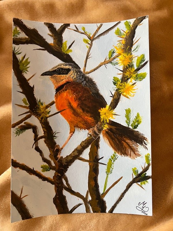 Producto - Pintura al acrílico sobre papel de un ave - 2