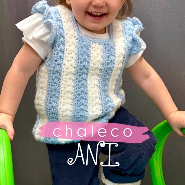 Producto - Chaleco ANI - explicación online