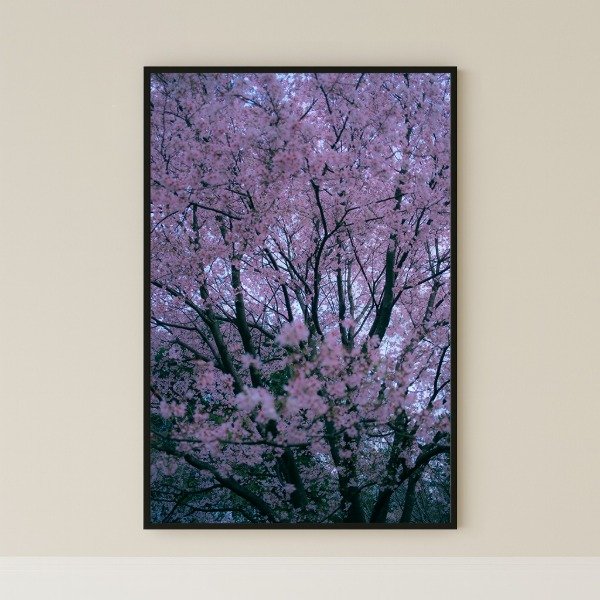 Producto - Hanami