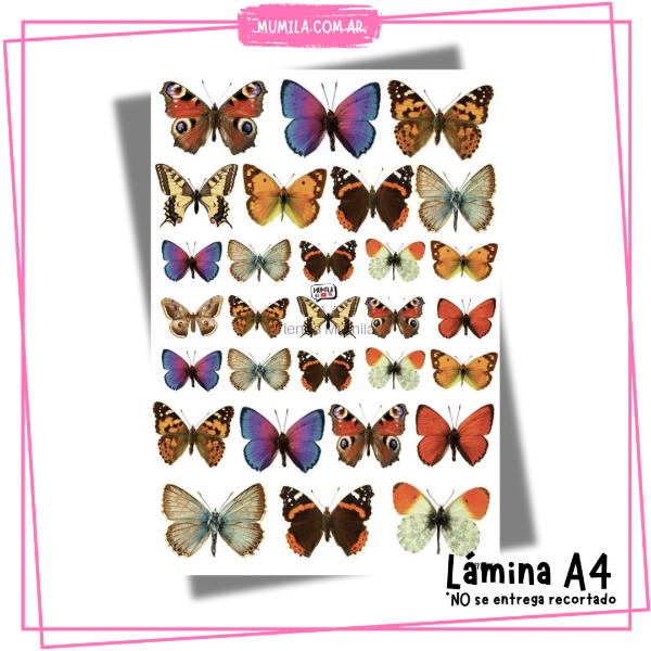 Producto - Mariposas comestibles M015 Lámina mariposas vintage