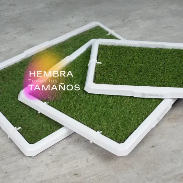 Producto - Bandeja sanitaria hembra